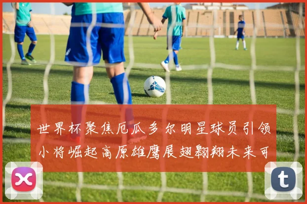 世界杯聚焦厄瓜多尔明星球员引领小将崛起高原雄鹰展翅翱翔未来可期