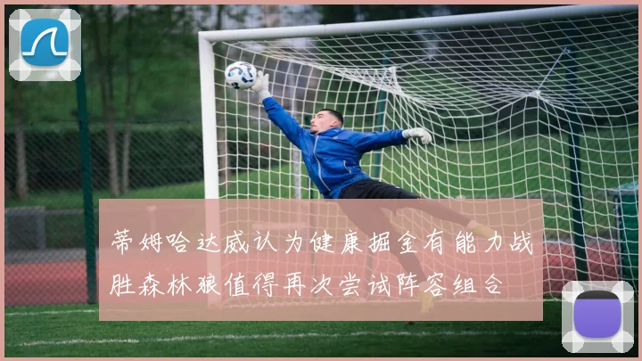蒂姆哈达威认为健康掘金有能力战胜森林狼值得再次尝试阵容组合